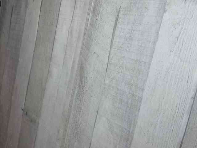 Rainie webcam