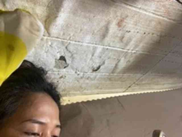 Rainie webcam