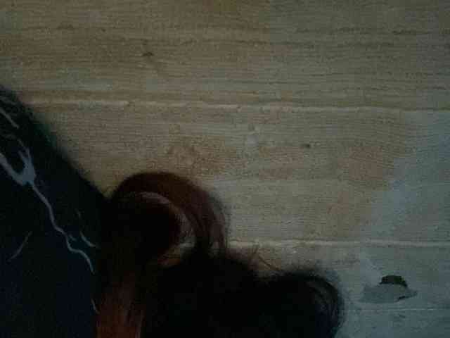 Rainie webcam