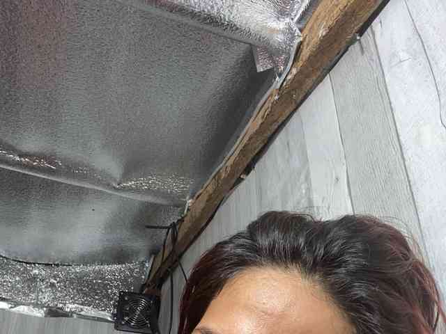 Rainie webcam