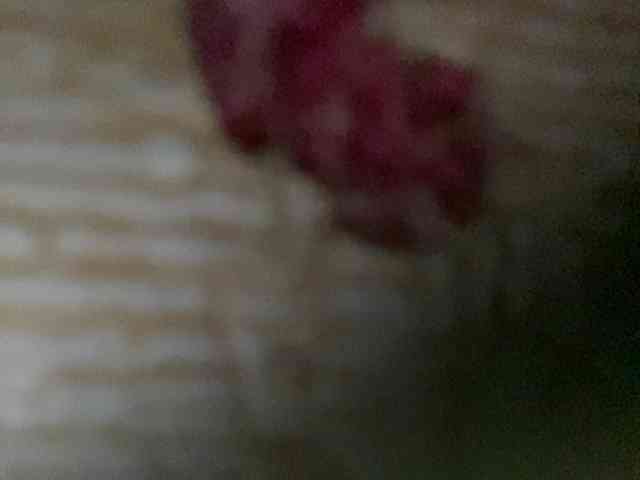 Rainie webcam
