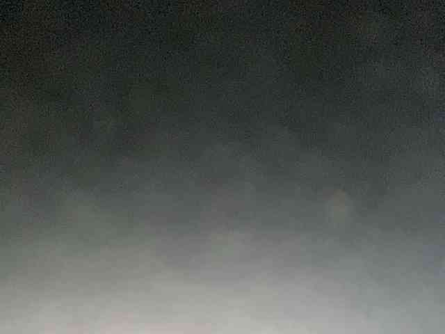 Rainie webcam