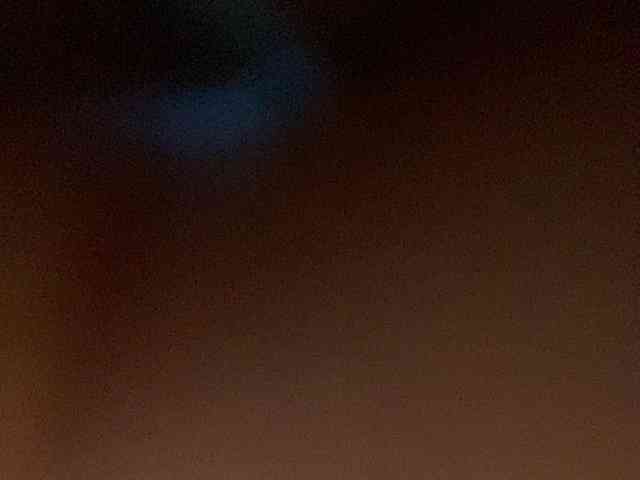 Rainie webcam