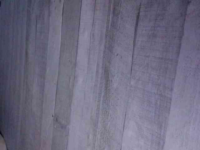 Rainie webcam