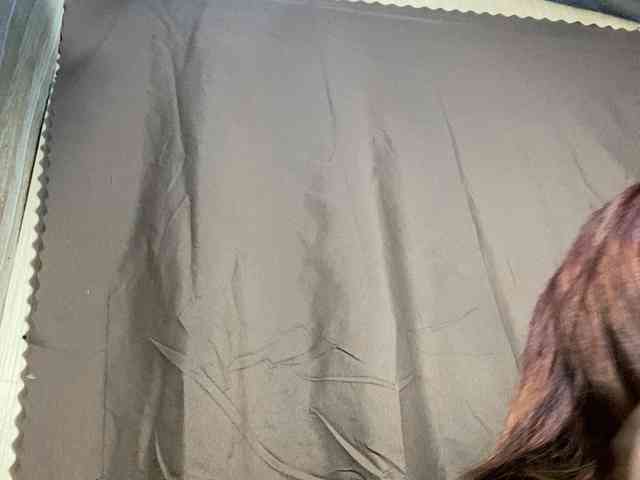 Rainie webcam