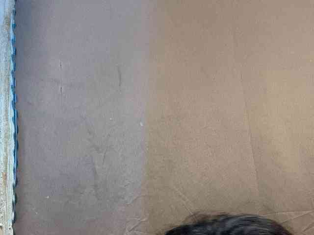 Rainie webcam