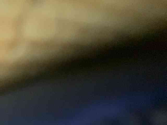 Rainie webcam