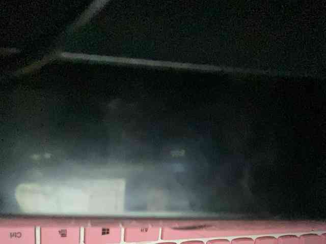 Rainie webcam