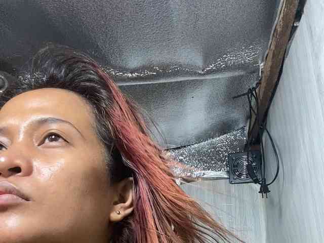 Rainie webcam