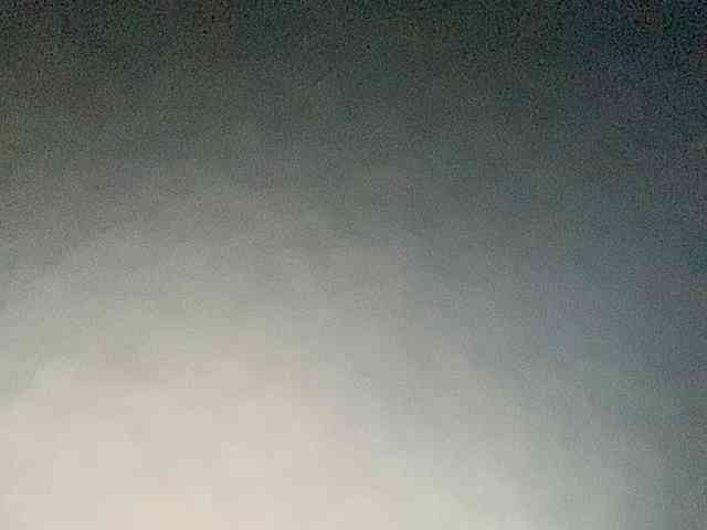 Rainie webcam