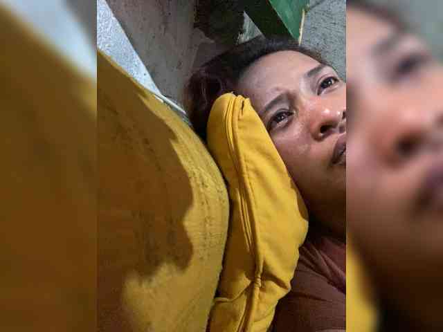 rasberrykat webcam