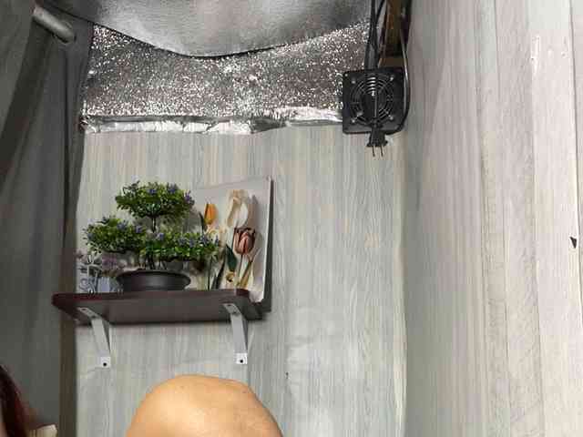 Rainie webcam