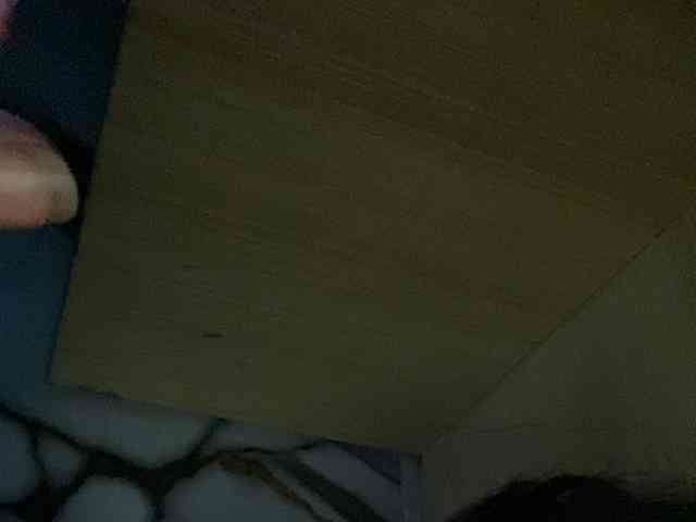 Rainie webcam