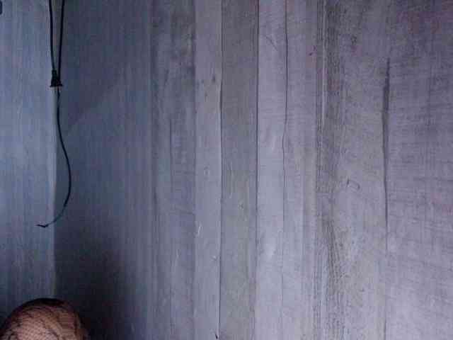 Rainie webcam