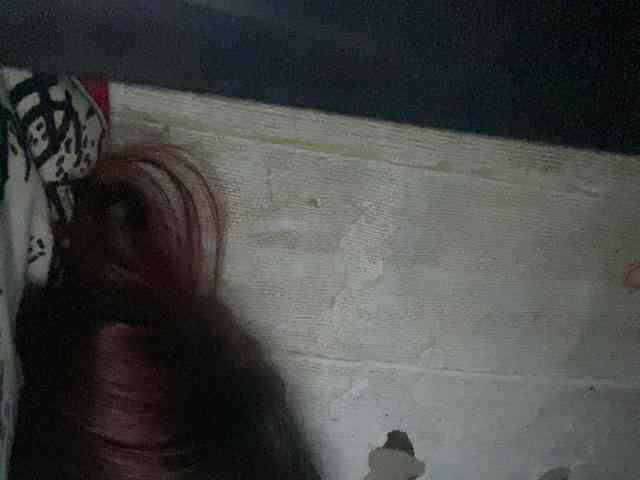Rainie