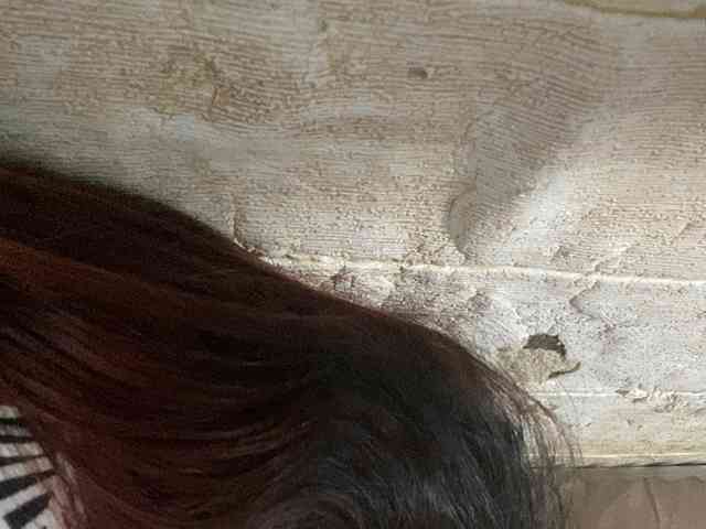 Rainie