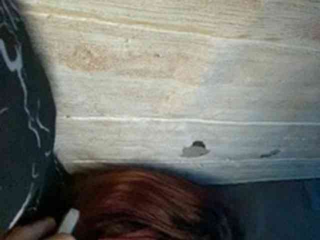 Rainie webcam