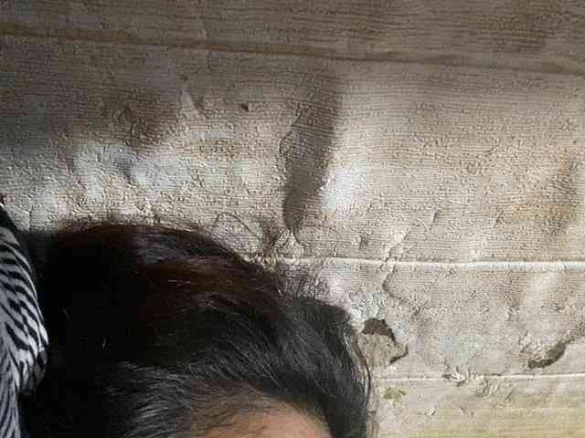 Rainie webcam