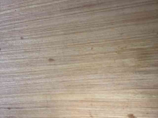 Rainie webcam