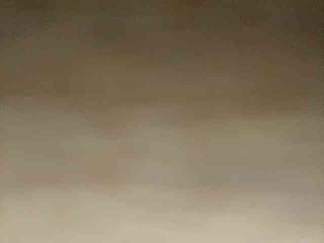 Rainie webcam