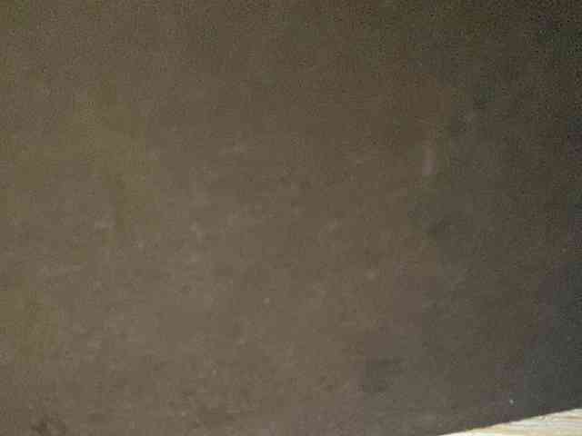Rainie webcam