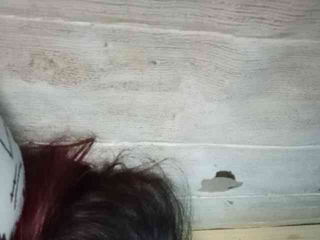 Rainie webcam