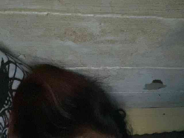Rainie webcam