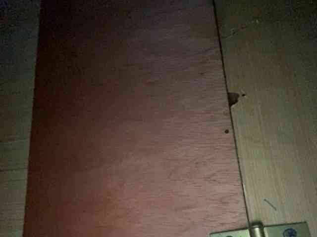 Rainie webcam