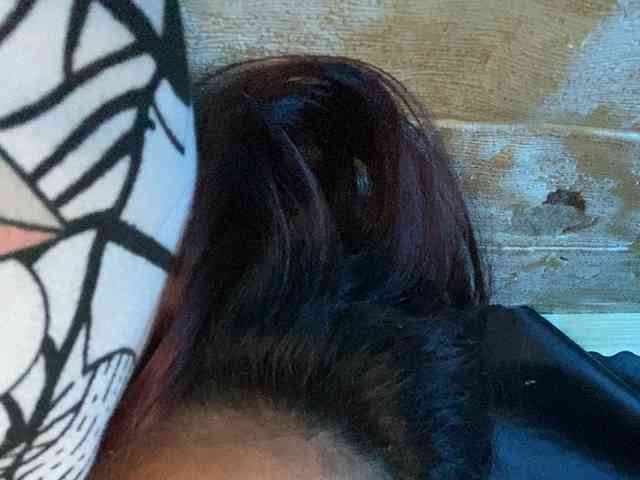 Rainie webcam