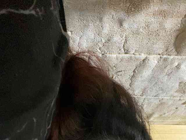 Rainie