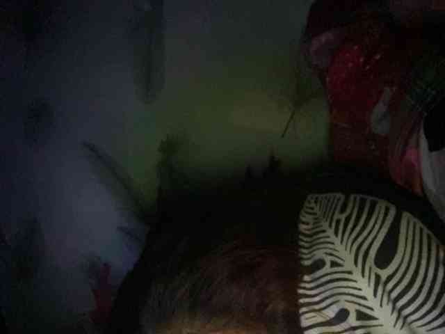 Rainie webcam