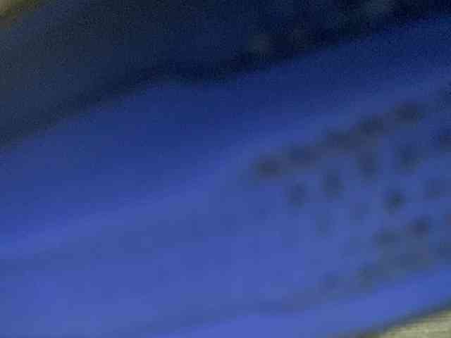 Rainie webcam