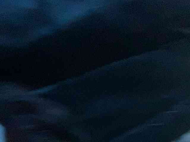 Rainie webcam