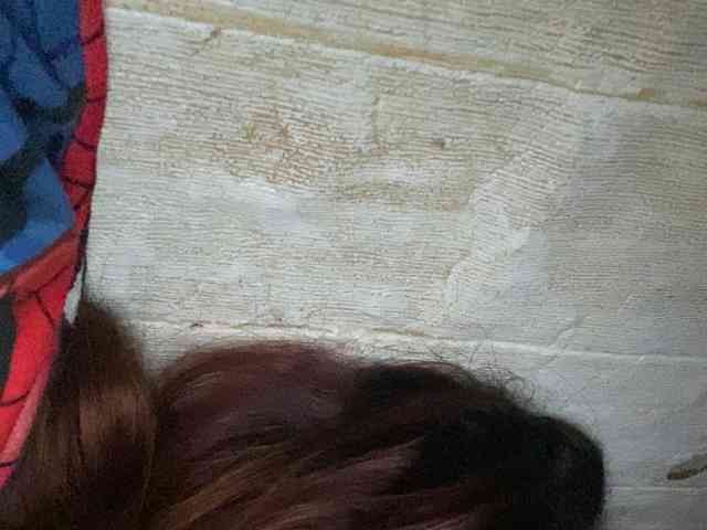 Rainie webcam