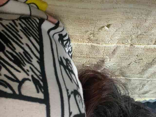 Rainie webcam