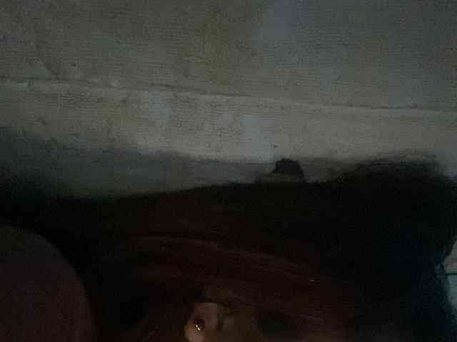 Rainie webcam