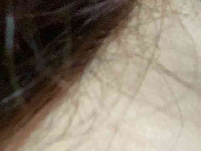 Rainie webcam