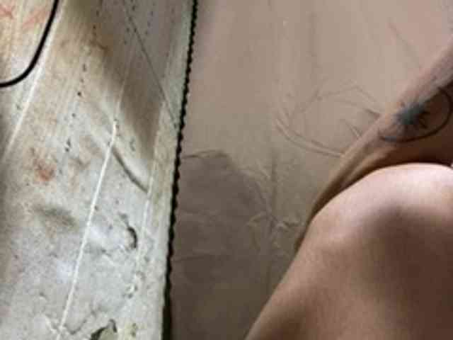 Rainie webcam