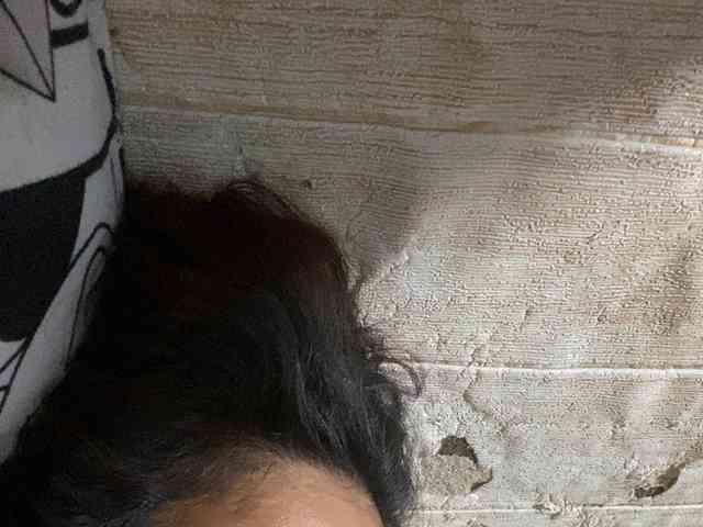 Rainie webcam