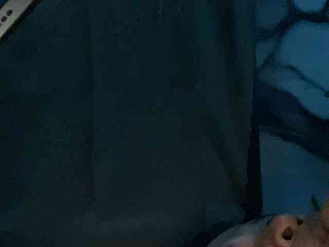 Rainie webcam