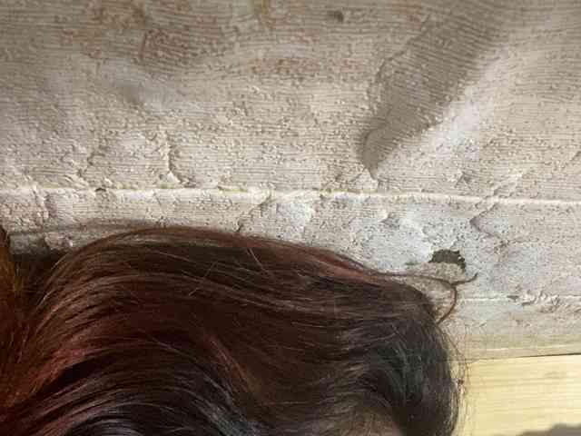 Rainie webcam