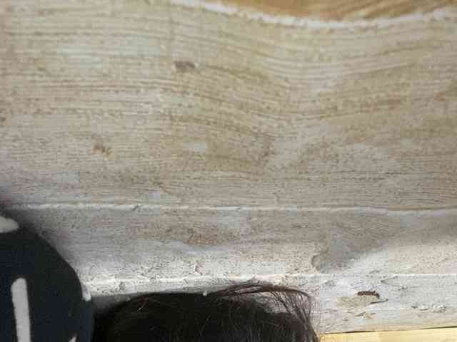 Rainie