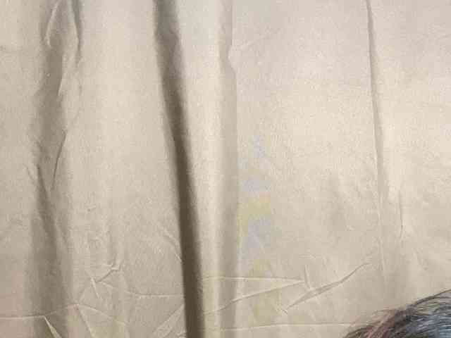 Rainie webcam