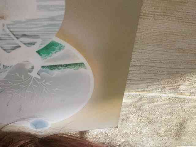 Rainie webcam