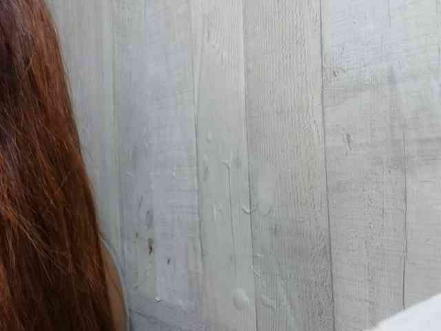 Rainie webcam