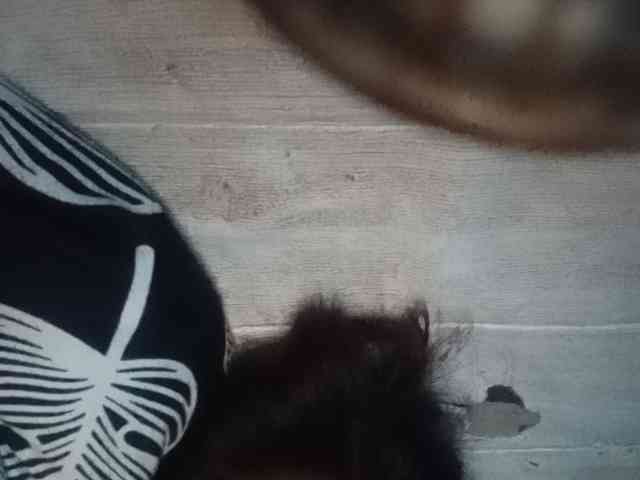 Rainie webcam