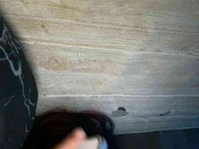Rainie webcam