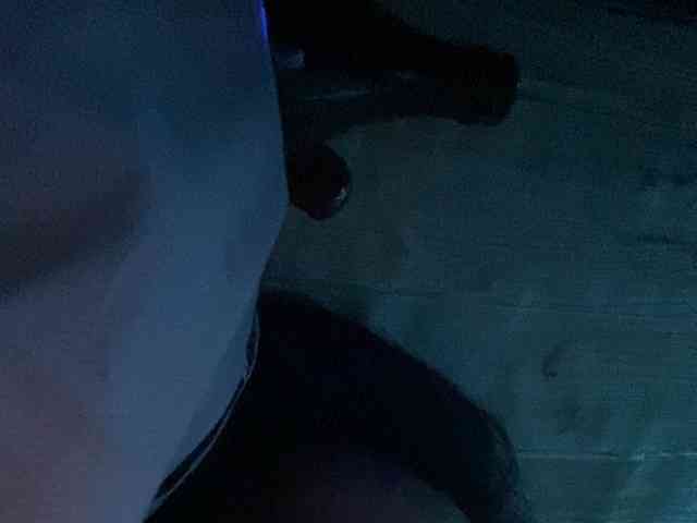 Rainie webcam
