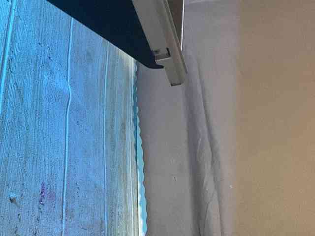 Rainie webcam