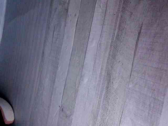 Rainie webcam